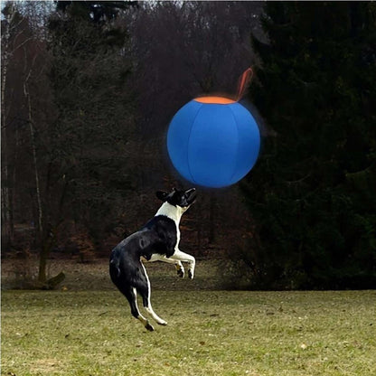 Inflatable Herding Ball