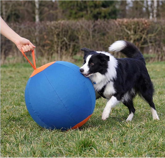 Inflatable Herding Ball
