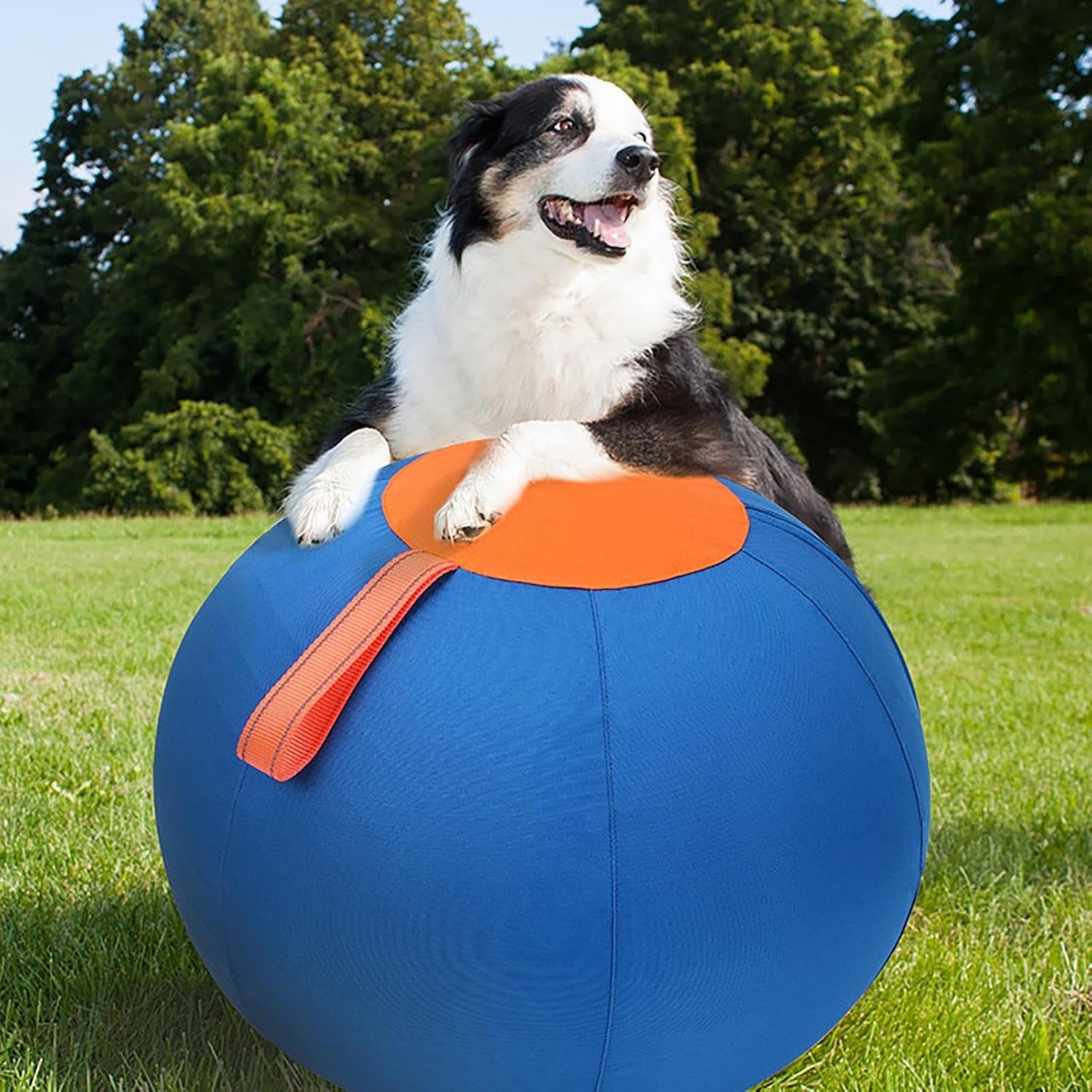 Inflatable Herding Ball