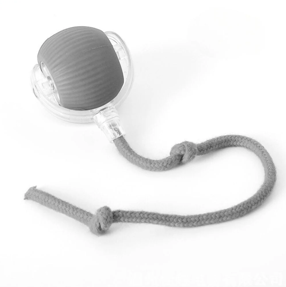 Interactive Play Ball With Tail
