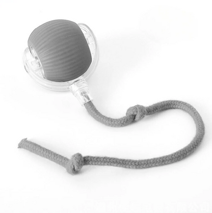 Interactive Play Ball With Tail