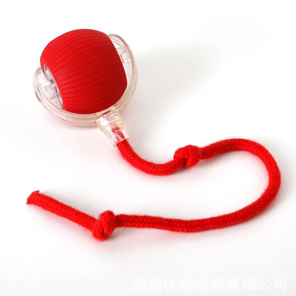 Interactive Play Ball With Tail