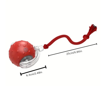 Interactive Play Ball With Tail
