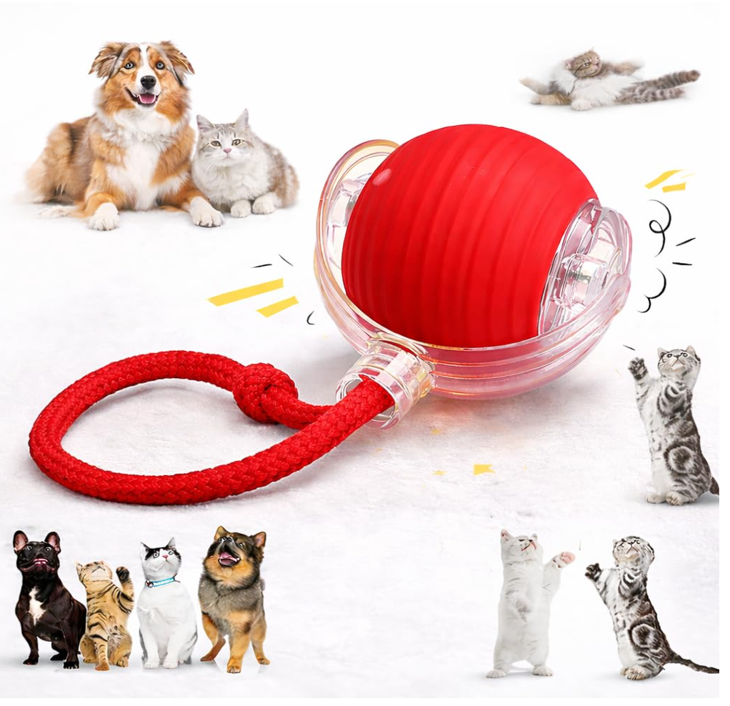 Interactive Play Ball With Tail