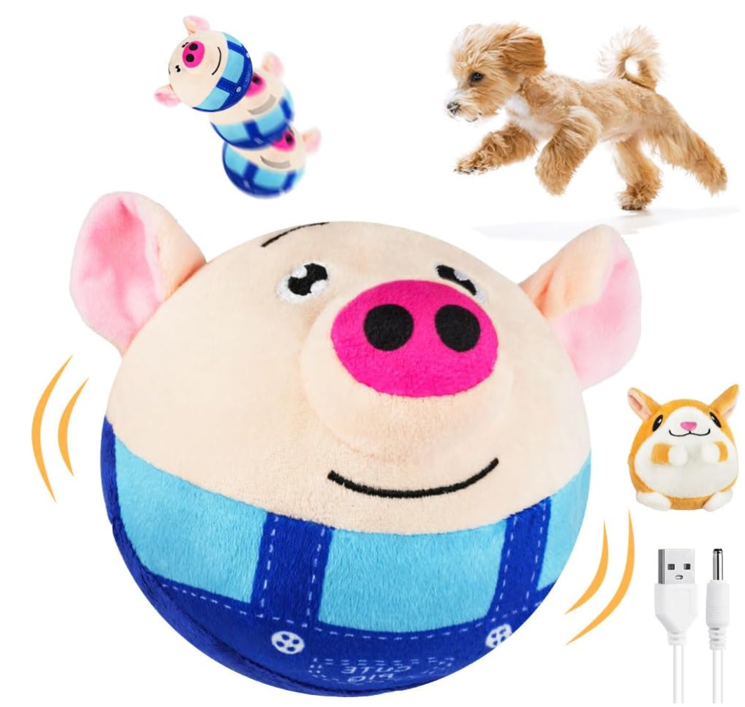 Bounce Buddy Toy